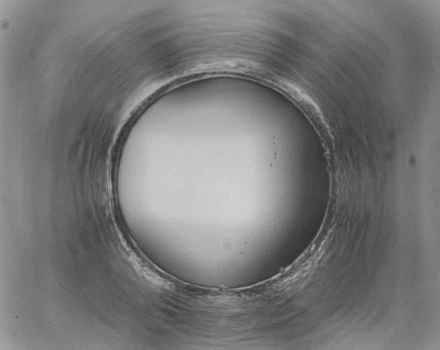 X0000060800792200511241909