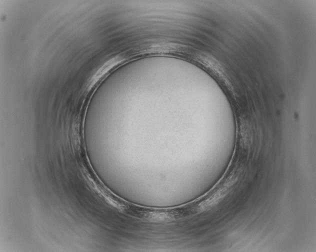 X0000060800794200511241909