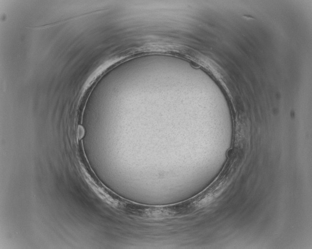 X0000060800795200511241909