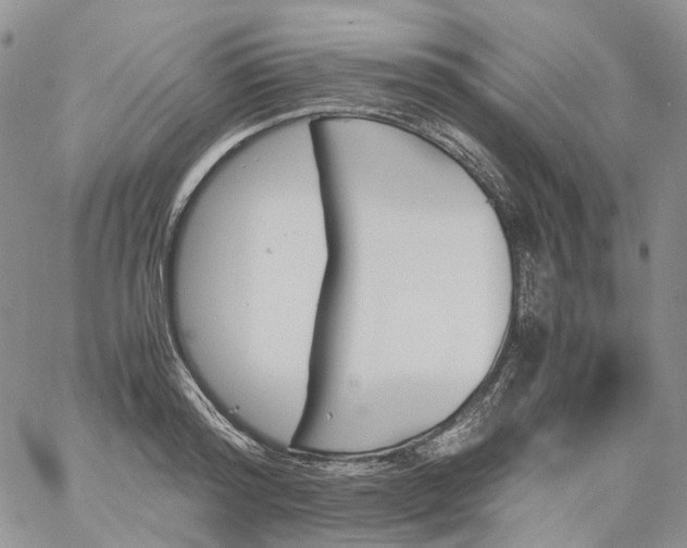 X0000060800796200511241909