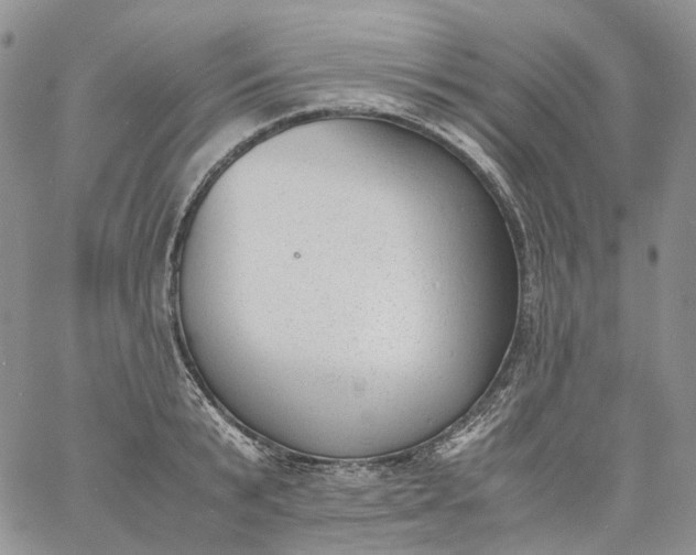 X0000060800799200511241909