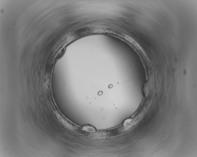 X0000060800801200511241909