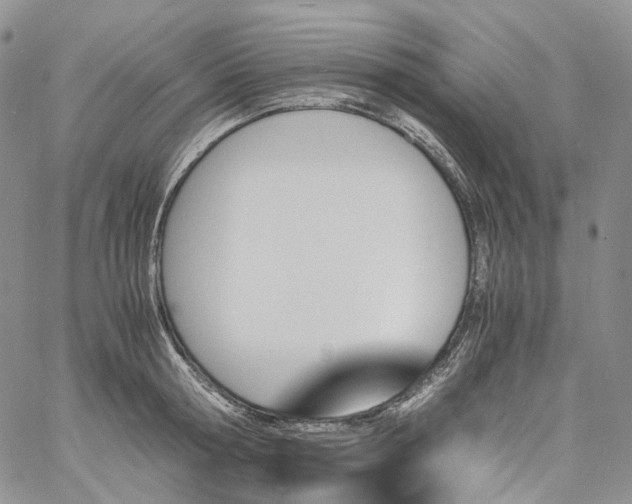 X0000060800802200511241909