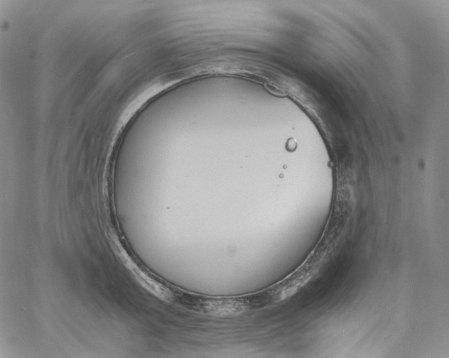 X0000060800803200511241909