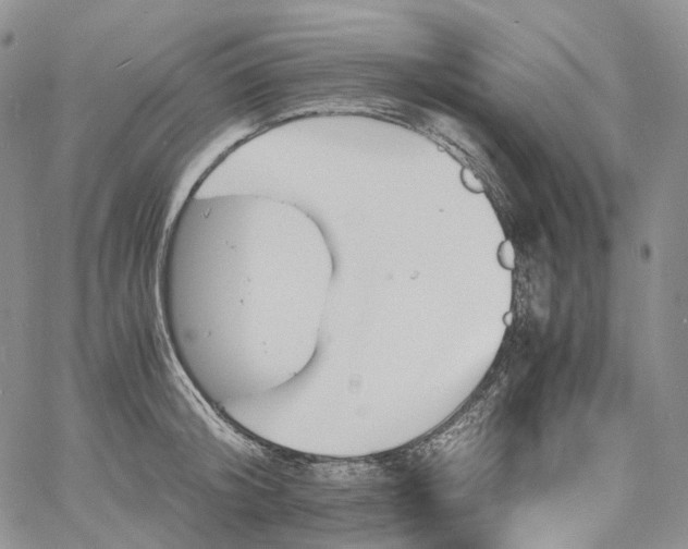 X0000060800804200511241909