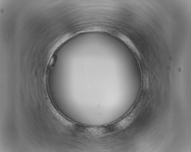 X0000060800805200511241909