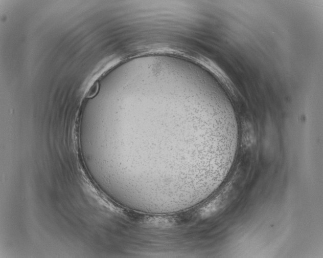 X0000060800806200511241909