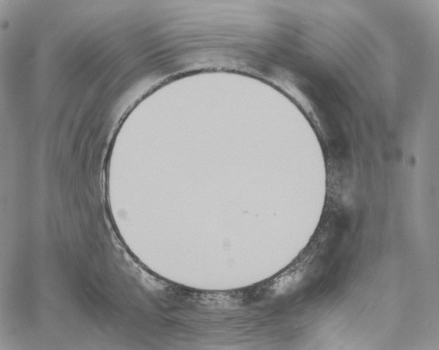 X0000060800807200511241909