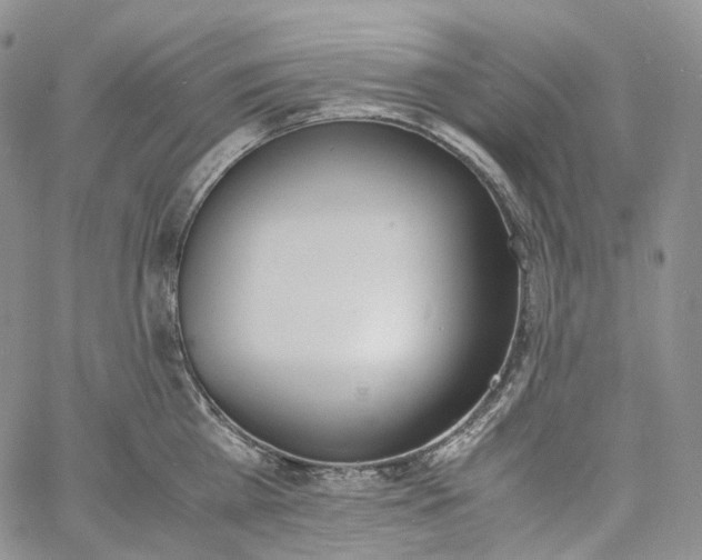 X0000060800809200511241909