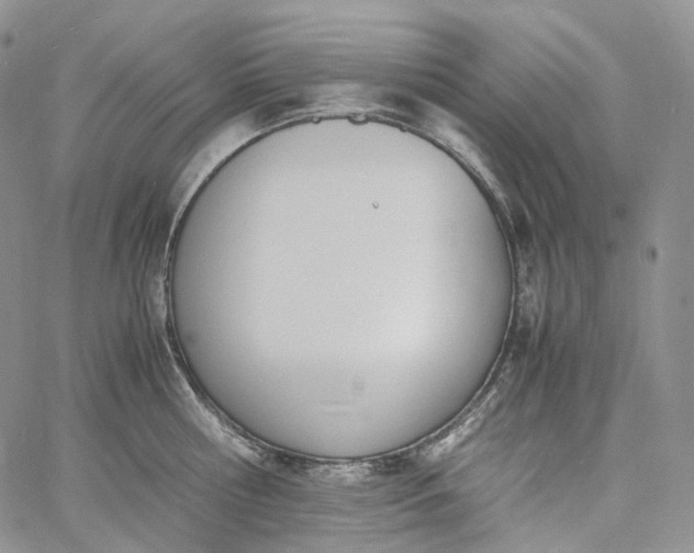 X0000060800810200511241909