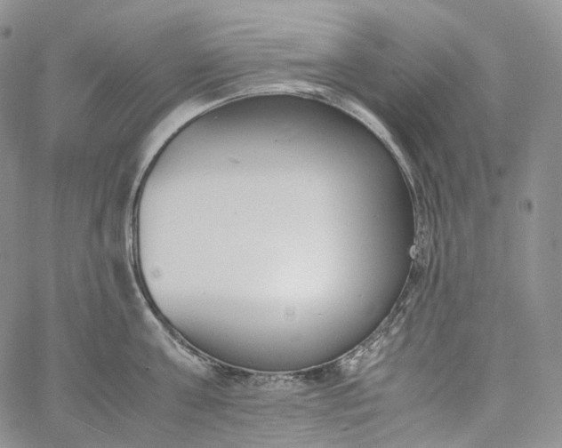 X0000060800811200511241909