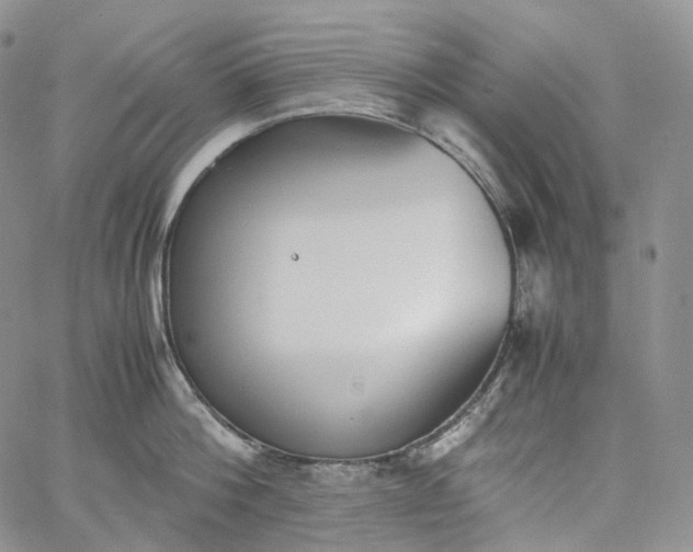 X0000060800812200511241909