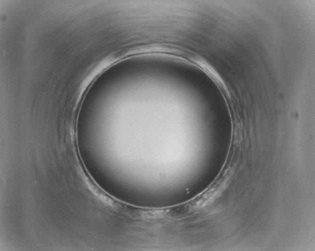 X0000060800813200511241909