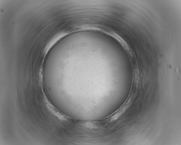 X0000060800814200511241908