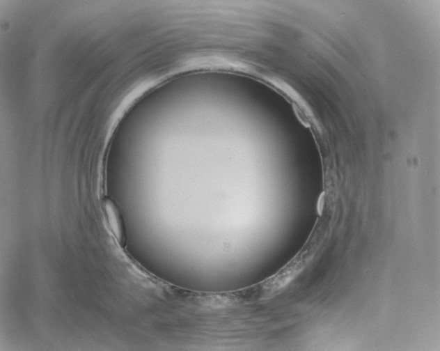 X0000060800815200511241908