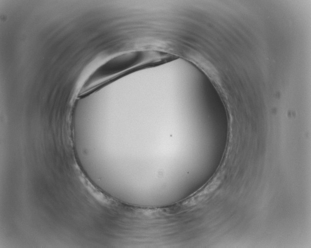 X0000060800816200511241908