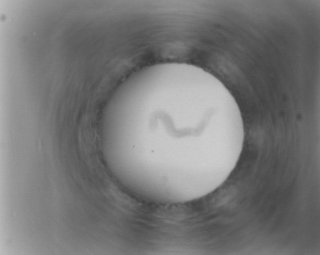 X0000060800817200511241908