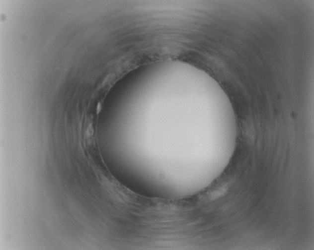 X0000060800818200511241908