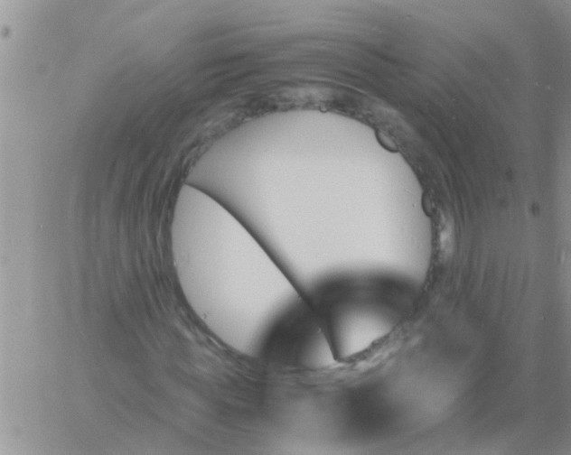 X0000060800819200511241908