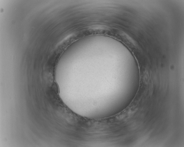 X0000060800821200511241908