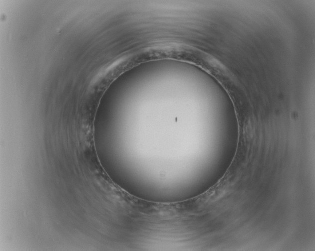 X0000060800822200511241908