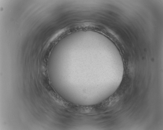 X0000060800823200511241908