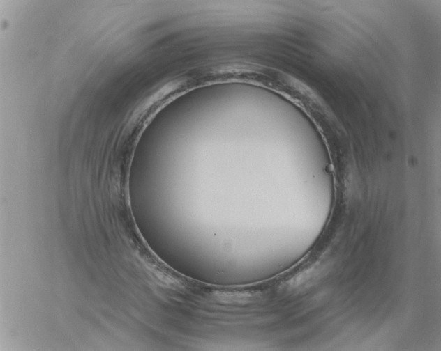 X0000060800825200511241908