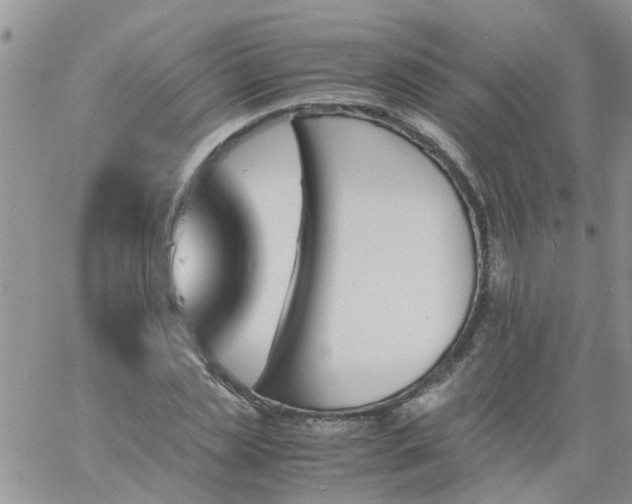 X0000060800829200511241908