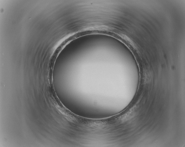 X0000060800830200511241908