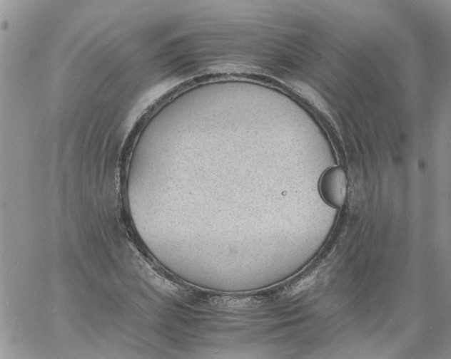 X0000060800831200511241908