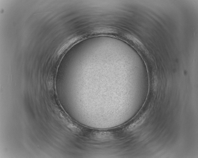 X0000060800833200511241908