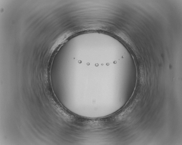 X0000060800834200511241908