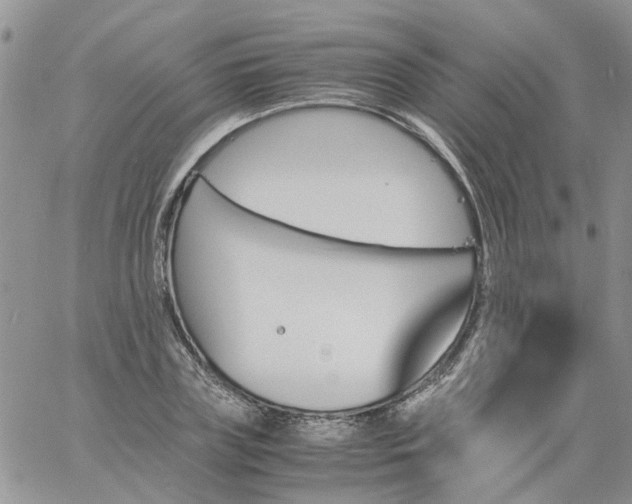 X0000060800835200511241908