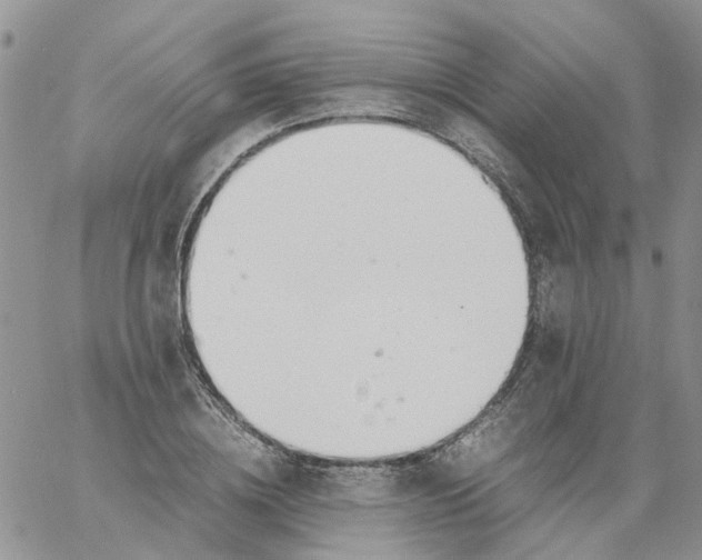 X0000060800836200511241908