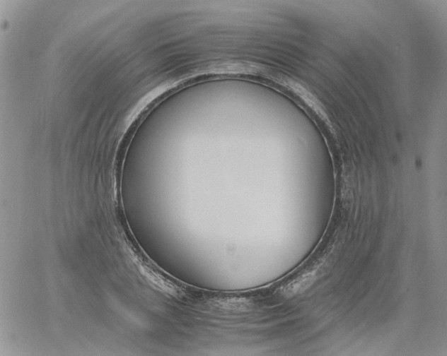 X0000060800837200511241908