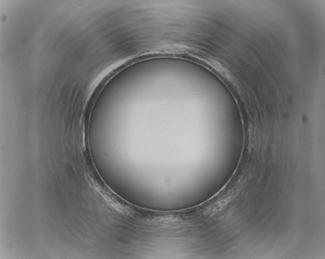 X0000060800838200511241908