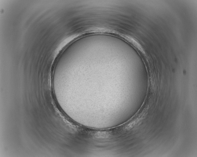 X0000060800839200511241908