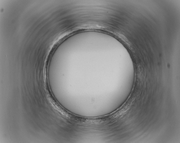 X0000060800840200511241908