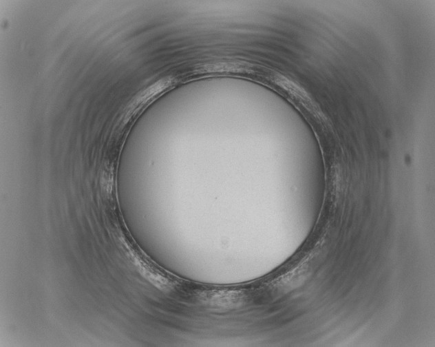 X0000060800841200511241908