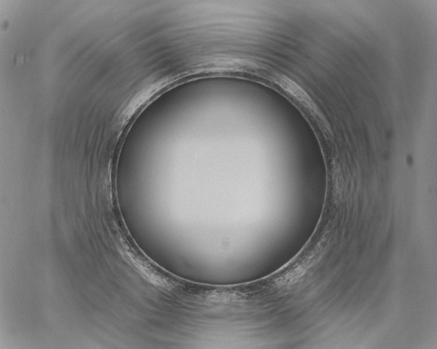 X0000060800842200511241908