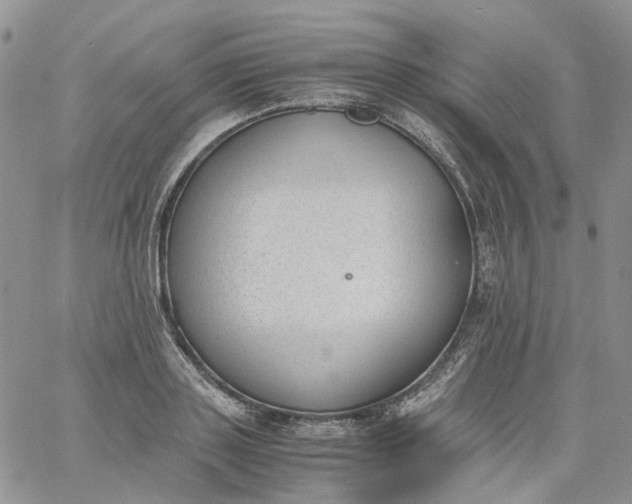 X0000060800843200511241908