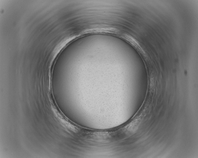 X0000060800844200511241908