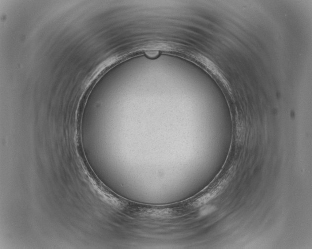 X0000060800845200511241908