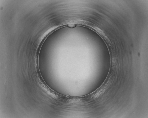 X0000060800846200511241908