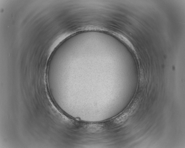 X0000060800847200511241908