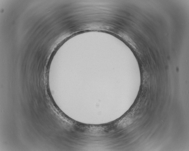 X0000060800848200511241908