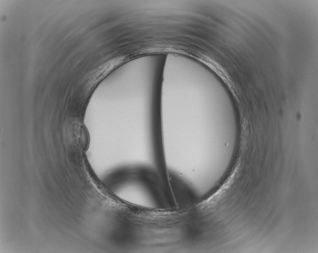 X0000060800849200511241908