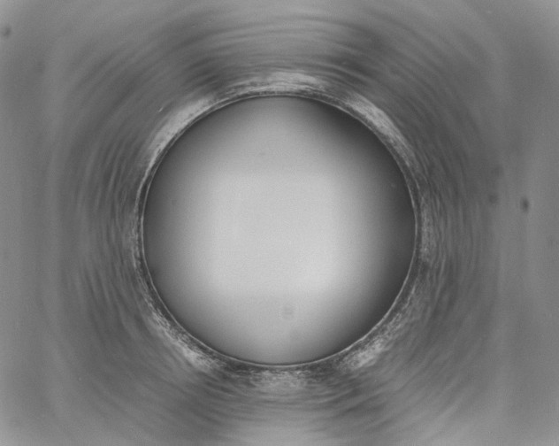 X0000060800850200511241908