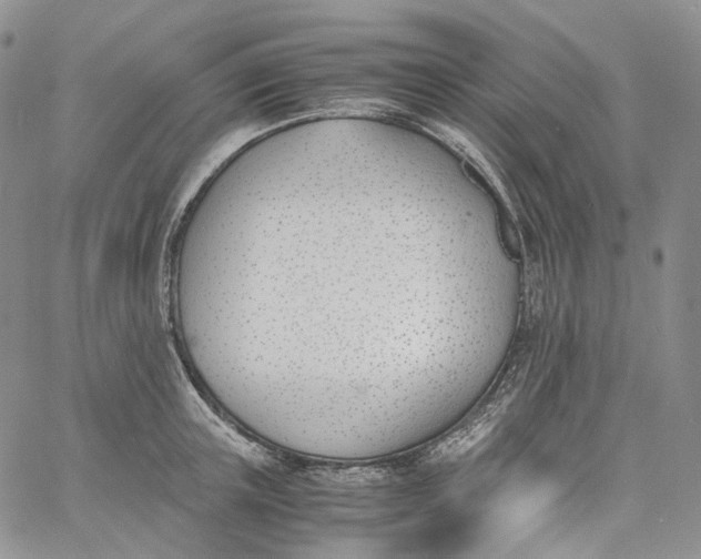 X0000060800851200511241908