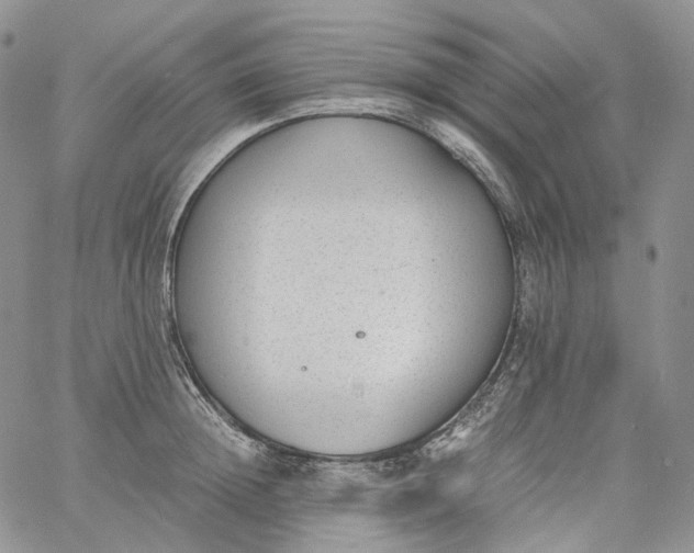 X0000060800852200511241908